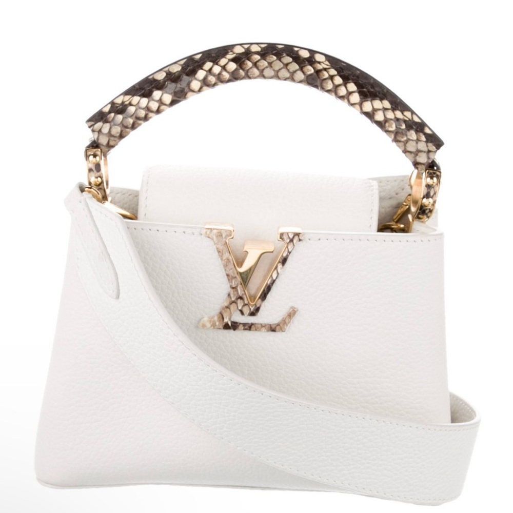 Louis Vuitton 2020 Water Snake- a trimmer Mini Taurillon Capucines Mini Bag